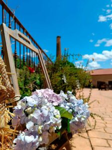 bodas en Sierra de Gata